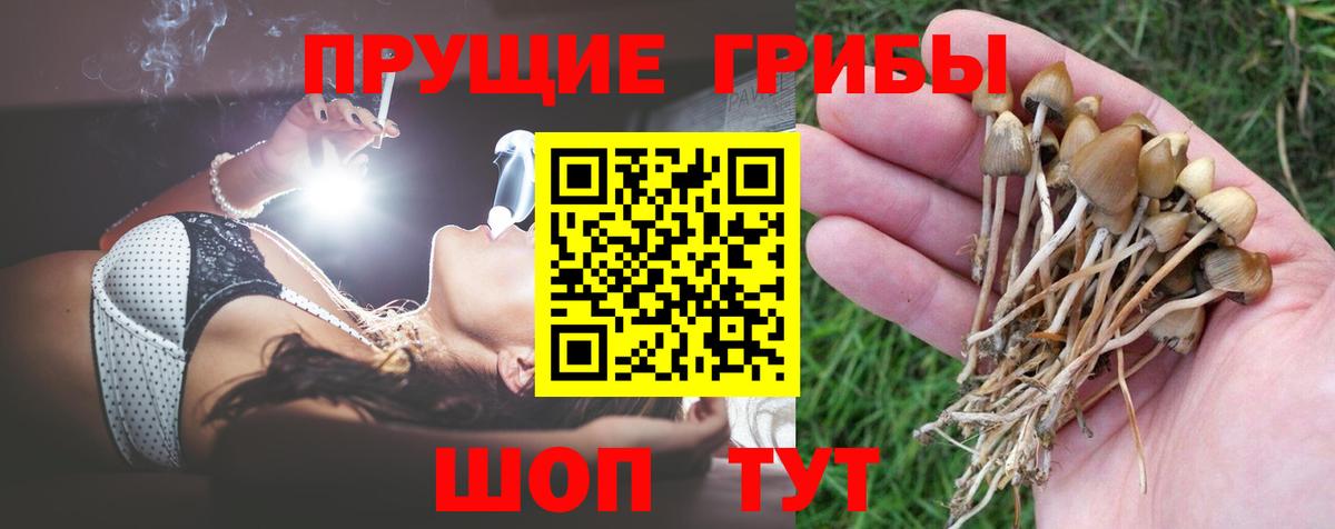Фурманов  Галлюциногенные грибы MAGIC MUSHROOMS  Вход с VPN 