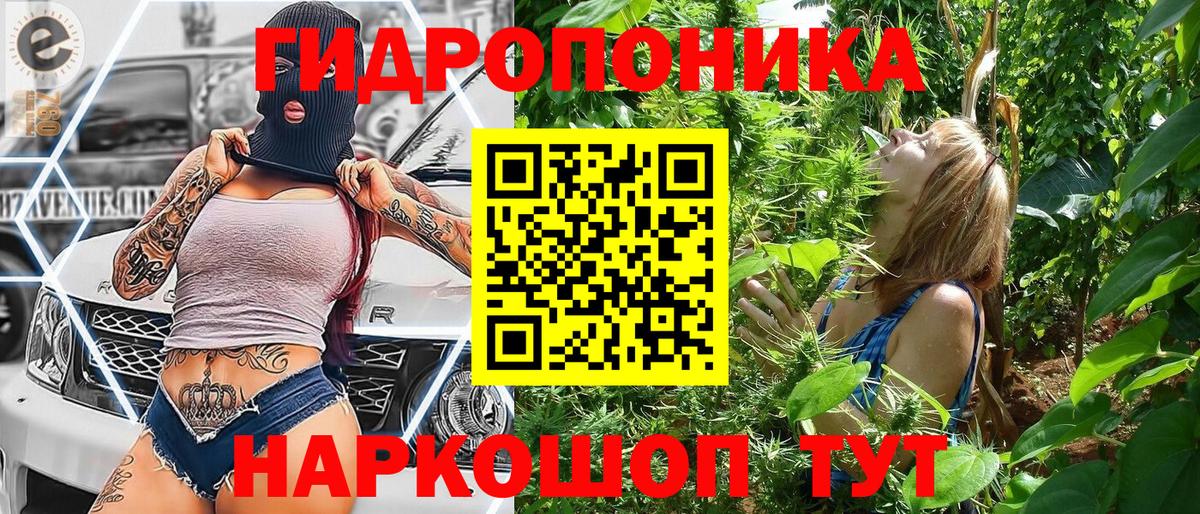 Шишки марихуана гибрид  Канабис LSD WEED  Фурманов  Бошки Шишки MAZAR  Конопля конопля  Вход с VPN 